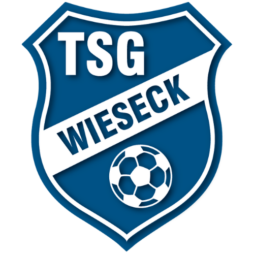 TSG威塞克U17logo