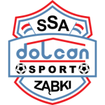 维亚扎布基女足 logo