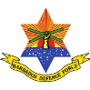 BDF运动  logo