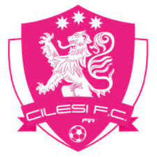西萊西FC  logo