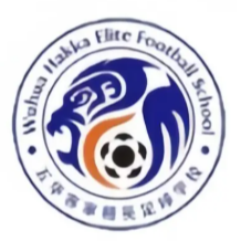 https://cdn.sportnanoapi.com/football/team/7b6bba36853092befe4598604f3082ab.png