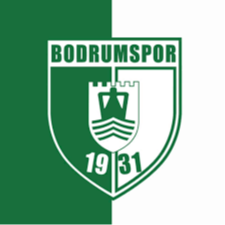 博德鲁姆斯波U19 logo