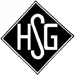 霍尔济姆SG logo