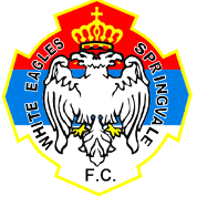 史宾威白鹰 logo