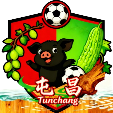 屯昌队