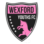 威克斯福德青年女足 logo