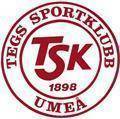 Tegs SK