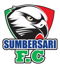 苏姆贝尔萨 logo