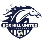 波克海尔女子足球 logo