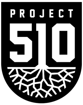 51O项目 logo