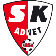 SK阿德内特  logo
