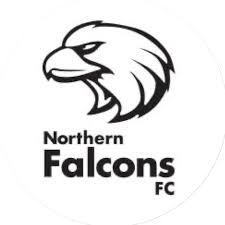 北方獵鷹SC  logo