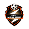 薩爾蒂洛  logo