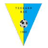 特史克兰 logo