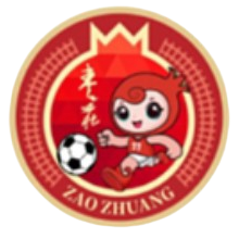 枣庄队