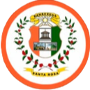 迪普馬約FC logo