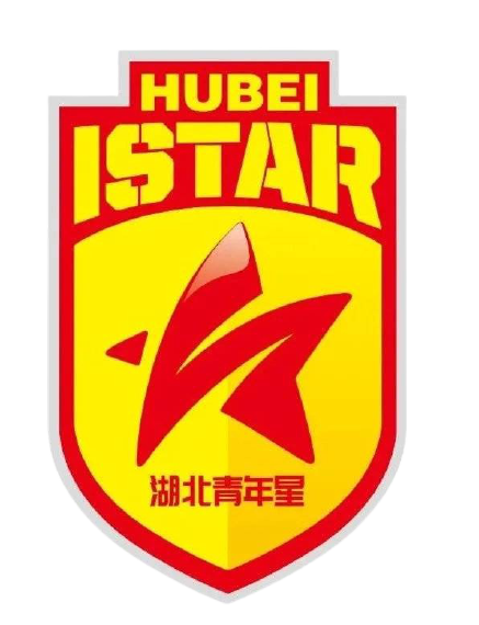 湖北青年星logo