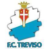 特雷维索 logo
