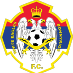 保尼白鷹U20  logo