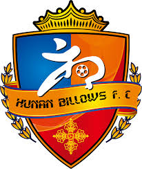 https://cdn.sportnanoapi.com/football/team/8fb9b0730f0e2b0f65d365d0e7f9f20d.png