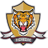 锡帕基拉老虎U19  logo