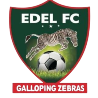 埃德尔足球俱乐部 logo