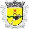 加尔韦斯  logo