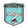 萨蒂略SC  logo
