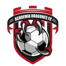 德拉贡斯足球俱乐部青训营  logo