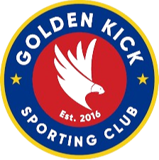 金球SC  logo