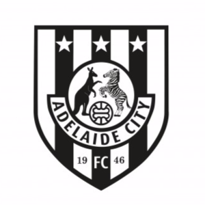 阿德莱德城后备队 logo