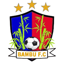 team-logo