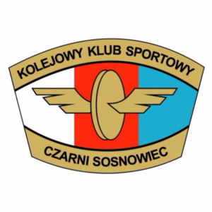 索斯诺维茨女足  logo