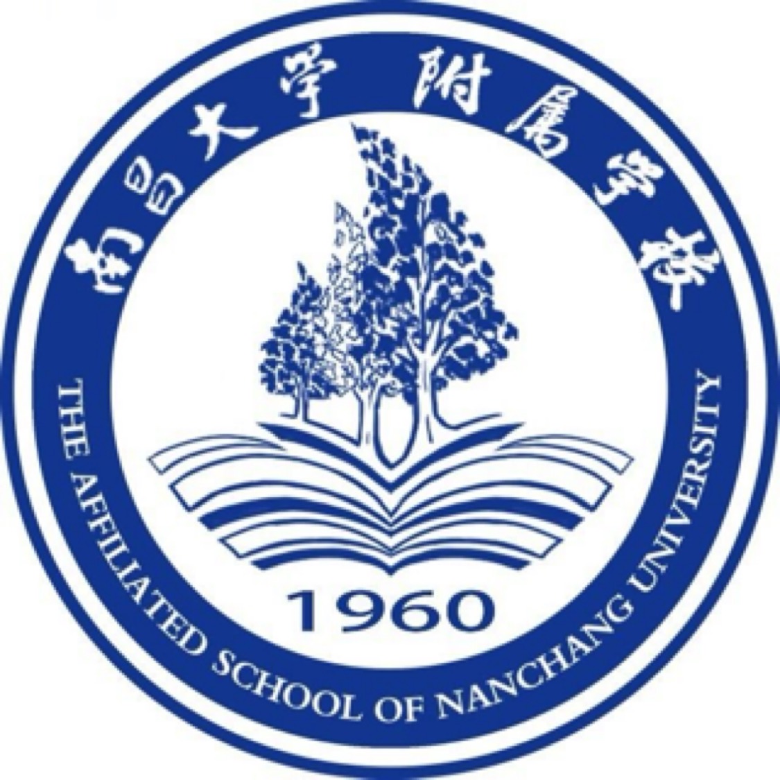 南大附校星梦想U13 