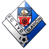 史拉维辛 logo