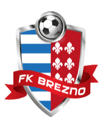 布雷兹诺U19 logo