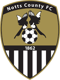 诺士郡女足logo