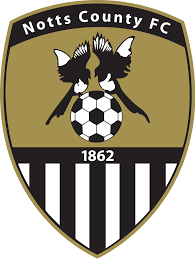 https://cdn.sportnanoapi.com/football/team/9e230c89a846b9cadf91884918fa7611.png