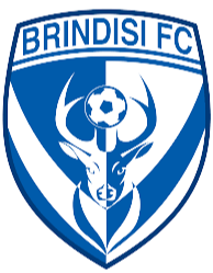 布林迪西U19 logo