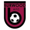 Burwood AFC 