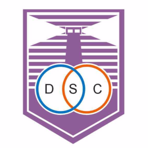 德芬索U19  logo