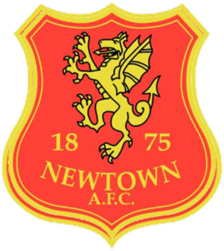 纽顿  logo