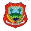 潘尼皮瑞亞  logo