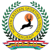 奈苏  logo