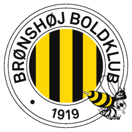 布隆索伊  logo
