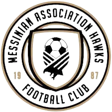 马鹰FC  logo