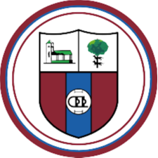 CD迪里奥  logo