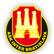 國際巴迪斯拉華 logo