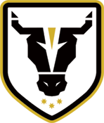 公牛学院女足  logo