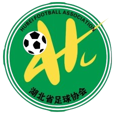 湖北足协U15 